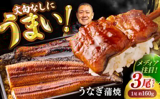 高知県産 うなぎ 長蒲焼3尾 約160g×3 (3〜6人前)/ 鰻 ウナギ 土用丑の日 高知産 うなぎ 【土佐黒潮水産】 [ATCQ010] 1838665 - 高知県高知市