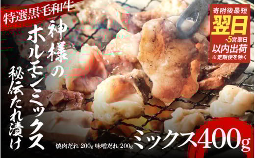 【 スピード発送 】【 特選 黒毛和牛 】 神様のホルモンミックス 秘伝たれ漬け 400g(焼肉だれ1p+味噌だれ1p) 1447862 - 大阪府東大阪市