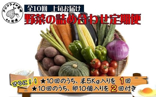 米5kgと卵20個付き！野菜の詰め合わせ定期便10回(上旬)【定期便】( 米 ご飯 ごはん お米 白米 卵 たまご タマゴ 野菜 やさい ヤサイ 詰め合わせ 定期便 季節の野菜 旬 おまかせ 九州 新鮮 とれたて 赤土土壌 たっぷり おすすめ 満足 安心 5キロ 5kg 野菜詰め合わせ 詰め合わせセット セット )【K00-009】