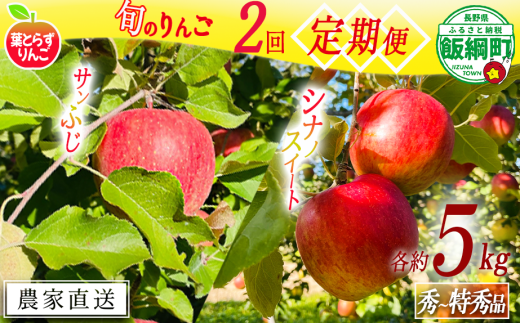 旬のりんご 【 定期便 】 秀 〜 特秀 5kg × 2回 葉とらずりんご フレッシュフルーツミカズキ 2025年10月中旬頃から2025年12月中旬頃までお申込み順に発送予定 令和7年度収穫分 リンゴ アップル シナノスイート サンフジ サンふじ 長野県 飯綱町 [2006]