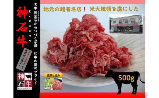 広島県神石高原町産神石牛(500g)※寄付金の使い道を選択メニューにて「地域再生プロジェクト」を選択してください。