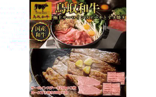 【定期便】鳥取和牛 極上サーロインステーキとすき焼き定期便 12か月  TB8 1536397 - 鳥取県琴浦町