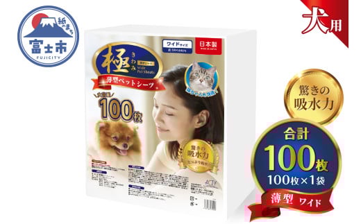ペットシーツ 【極】シリーズ 薄型ワイド 100枚 ペット用 犬用 猫用 トイレシーツ 日用品 ペット用品 大容量 防災 備蓄 消耗品 ドッグ キャット わんちゃん ねこちゃん 静岡県 富士市 [sf077-124]