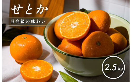 【先行予約】【数量限定】ホリ田ヤ せとか 2.5kg【K002420】 1954347 - 愛媛県今治市