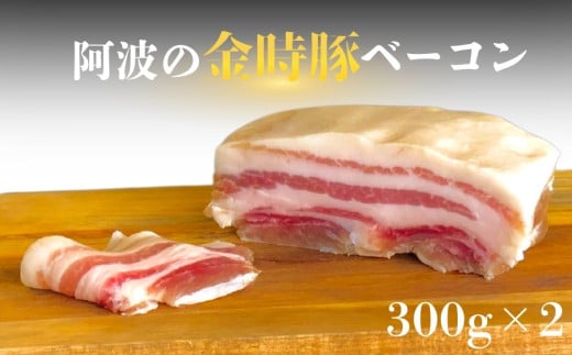 [阿波の金時豚] ベーコン (600g) 金時豚 豚バラ肉 生ベーコン 冷凍 焼く パスタ スープ 具材