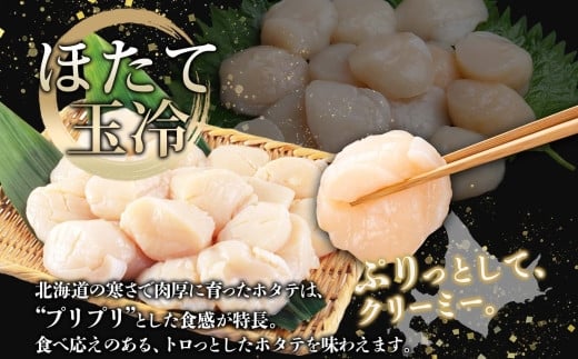 新鮮なホタテは、生で食べていただくのが一番！