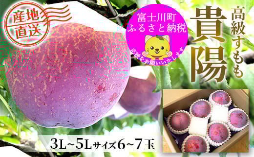 【2025年発送分 先行予約】貴陽（3L－5L）6-7玉　すもも プラム 李 スモモ 山梨 果物 くだもの 山梨 やまなし フルーツ 産地直送 富士川町