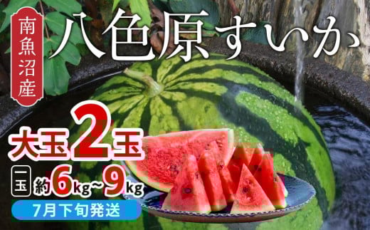 【新潟県 南魚沼産】八色原すいか大玉2玉 618283 - 新潟県南魚沼市