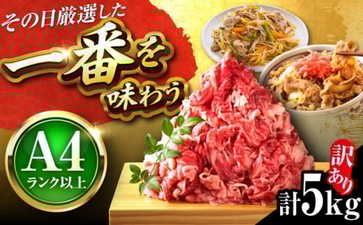 [訳あり][A4〜A5]博多和牛 切り落とし 5kg(500g×10パック) 吉富町/株式会社MEAT PLUS [BGAB040] 和牛切り落とし 牛切り落とし 切り落とし牛 国産牛 訳アリ ワケアリ わけあり 理由あり
