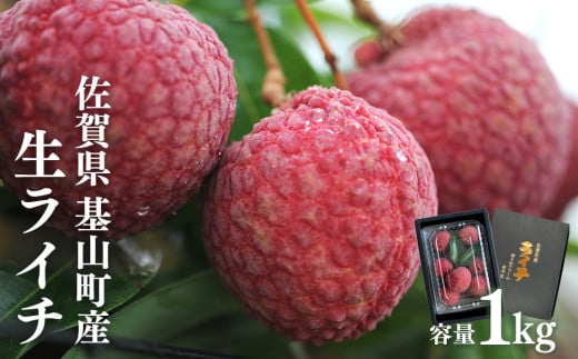 【先行受付】佐賀県産ライチ 1kg(贈答用)【生ライチ ライチ 生 基山町産 贈答用 貴重 国産 新鮮 フレッシュ 肉厚 シャーベット 1kg お中元 贈り物】 B5-C060001 821515 - 佐賀県基山町
