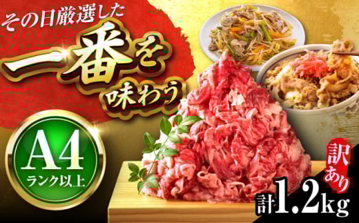 [訳あり][A4~A5]博多和牛 切り落とし 1.2kg(600g×2p) 吉富町/株式会社MEAT PLUS [BGAB055] 切り落とし 牛切り落とし 切り落とし牛 家庭用 自宅用 簡単調理 冷凍 送料無料 訳アリ ワケアリ わけあり 理由あり