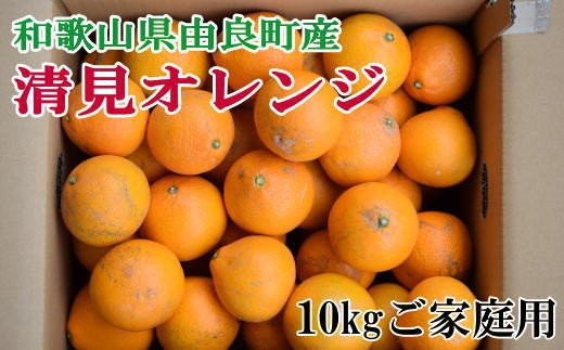 【訳あり・ご家庭用】和歌山由良町産の濃厚清見オレンジ約10kg　※2026年2月中旬～2026年2月下旬頃（お届け日指定不可）【TM-tec877A】 1455869 - 和歌山県かつらぎ町