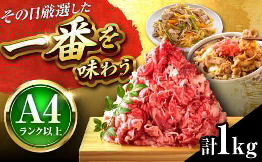 【A4〜A5】博多和牛 切り落とし 1kg (500g×2パック) 吉富町/株式会社MEAT PLUS [BGAB066] 牛肉 ブランド牛 高級 和牛 国産牛 博多和牛 切り落とし 切りおとし 牛肉 牛丼 肉じゃが すき焼き 切り落し 霜降り 牛肉切り落とし 牛肉 人気 おすすめ 福岡 福岡県 切り落とし 2054870 - 福岡県吉富町