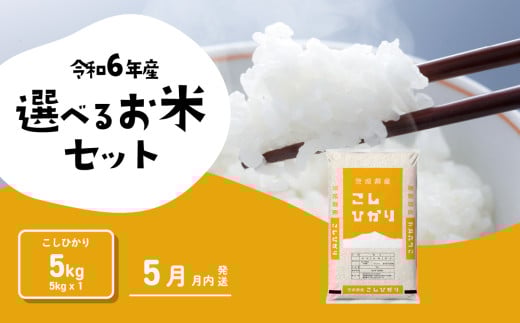 【5月発送】コシヒカリ 5kg (5kgx1袋) 令和6年産 茨城県産 こしひかり 白米 精米 茨城県 八千代町 お米 米 [SF148yai]