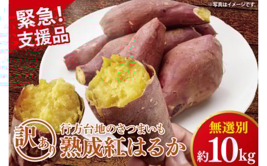 【緊急支援品】★訳あり★ 無選別 行方台地のさつまいも 熟成紅はるか 約10kg（洗い）｜さつまいも 芋 サツマイモ 紅はるか 数量限定 訳あり わけあり 無選別 熟成 茨城県 行方市(CU-326-1) 2102955 - 茨城県行方市