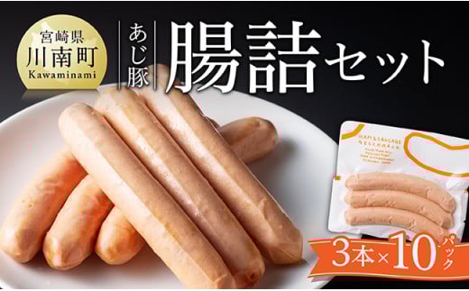 ※令和7年6月発送分※あじ豚ソーセージセット 【 肉 豚 豚肉 あじ豚 ソーセージ 粗挽きソーセージ 宮崎県産 川南町産 】