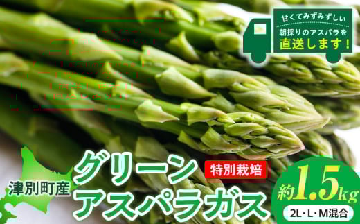 R7年産 アスパラガス 約1.5kg 特別栽培 細川農園/018-24083-b01C グリーンアスパラ グリーンアスパラガス アスパラ 野菜 春野菜 朝採れ 極太 サラダ 天ぷら 炒め物 旬 特産 産地直送 北海道 津別町 送料無料 683891 - 北海道津別町