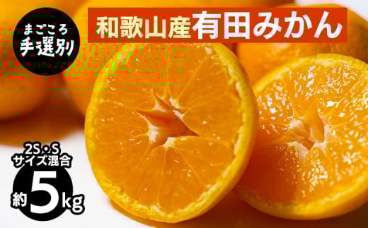 【まごころ手選別】和歌山の有田みかん 5kg (2S・Sサイズ混合) ※2025年11月上旬～2026年1月下旬頃に順次発送予定