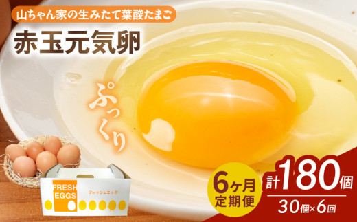 【6ヶ月定期便】【山ちゃん家の生みたて葉酸たまご】赤玉元気卵（30個入り）