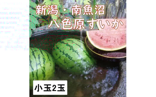 【新潟県 南魚沼産】八色原スイカ小玉2玉 618287 - 新潟県南魚沼市