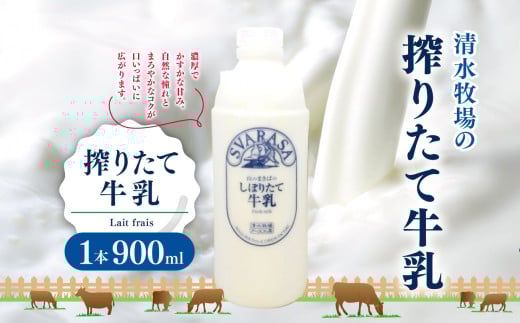 搾りたて牛乳 Lait frais 1本900ml | ふるさと納税 長野県 松本市 信州産 搾りたて 牛乳 生乳 クリーミー 2078545 - 長野県松本市