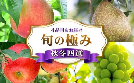 旬の極み 秋冬四選 FSY-2232 2143822 - 山形県山形県庁