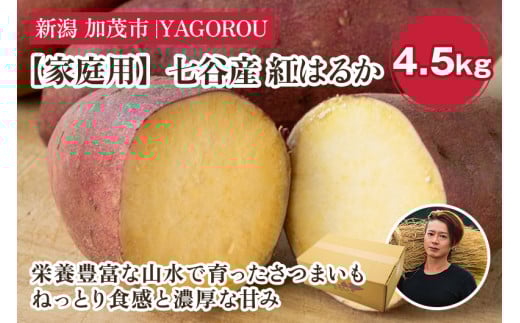 【家庭用】紅はるか 4.5kg（A品・B品混在） 新潟県加茂市七谷産 さつまいも《11月下旬〜順次発送》 サツマイモ お芋 焼き芋 スイートポテト 野菜 根菜 低温熟成 加茂市 YAGOROU ヤゴロウ