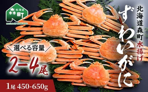 [選べる容量・選べる数量]ずわいがに(450g〜650g)2尾〜4尾 北海道森町水揚げ かに カニ 蟹 ガニ がに 森町 ふるさと納税 北海道 ずわいかに ズワイガニ 