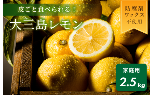 【数量限定】ホリ田ヤ 皮ごと食べられる島育ちレモン【K002450】