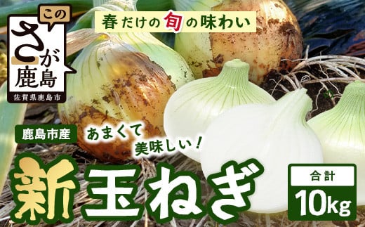鹿島市産 新玉ねぎ 合計10kg B-842 たまねぎ 玉葱 サラダ 料理 2083347 - 佐賀県鹿島市