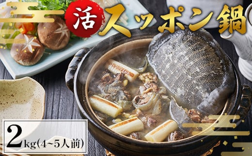 【2025年6月お届け】綾部で育てた！！スッポン鍋 2kg （4～5人前） 【 国産 活スッポン 健康 スッポン スッポン鍋 スッポン鍋セット すっぽん 鍋 滋養強壮 コラーゲン 京都 綾部 】 1998535 - 京都府綾部市