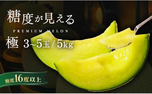 メロン めろん ＼糖度18度以上!/ [ 極 ] エルソルメロン 3〜5玉 約3〜5kg |メロン エルソルメロン おすすめ 人気 国産 茨城 鉾田 サングリーン旭 極 旬 プレゼント 贈り物 青肉 青 果物 5月以降発送