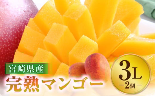 《2025年発送》【期間・数量限定】宮崎特産品　宮崎県産完熟マンゴー　3L×2個_M275-002