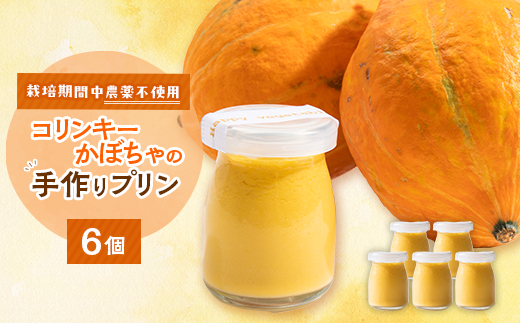 栽培期間中、農薬を使わず自家栽培した「コリンキーかぼちゃ」使用の手作りプリン　6個【1550987】 2047032 - 京都府与謝野町