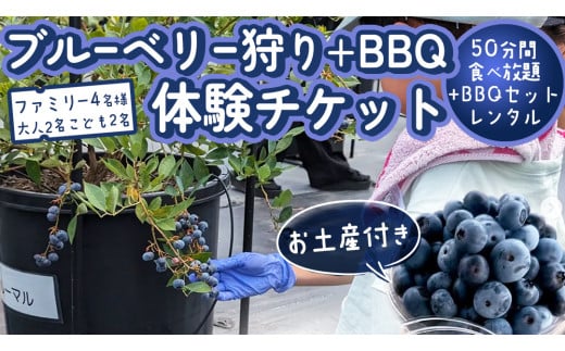 【寄附受付は2025年8月5日まで】 ブルーベリー狩り ＋ DAYキャンプ 体験チケット 《ファミリー４名様プラン レンタルBBQ道具＋お土産付き》 ブルーベリー ベリー 食べ比べ 食べ放題 収穫 収穫体験 キャンプ BBQ バーベキュー 肉 旅行 レンタル 体験 チケット 招待券 レジャー 観光 ファミリー ふれあい お土産 おみやげ 持ち帰り テイクアウト 多品種 果実 [DZ016sa]