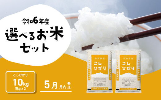 【5月発送】コシヒカリ 10kg (5kgx2袋) 令和6年産 茨城県産 こしひかり 白米 精米 茨城県 八千代町 お米 米 [SF149yai]