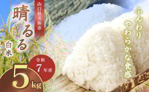 令和7年度産 新米晴るる 白米5kg 先行予約 ＜ 2025年9月中旬より順次発送予定 ＞ ｜ 米 精米 新米 白米 米 雑穀 お米 コメ 単一米 晴るる はるる  山口 美祢 秋吉台 5kg 2093263 - 山口県美祢市