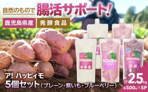 2825 ア!ハッピィモ5個セット(プレーン・紫いも・ブルーベリー) KN113-001-05 1952307 - 鹿児島県鹿屋市