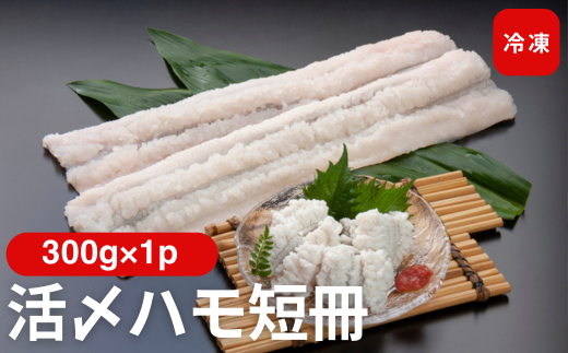 活〆鱧短冊300g 冷凍 鱧 ハモ 鱧短冊 北風鮮魚 愛媛県 伊予市 | A86 2135117 - 愛媛県伊予市