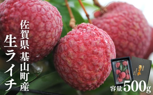 【先行受付】佐賀県産ライチ 500g(贈答用)【生ライチ ライチ 生 基山町産 贈答用 貴重 国産 新鮮 フレッシュ 肉厚 シャーベット 500g お中元 贈り物】 A5-C060002 821513 - 佐賀県基山町