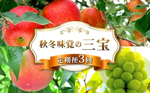 秋冬味覚の三宝 FSY-2233 2143823 - 山形県山形県庁