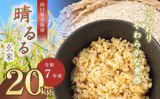 令和7年度産 新米晴るる 玄米20kg 先行予約 ＜ 2025年9月中旬より順次発送予定 ＞ ｜ 米 精米 新米 玄米 米 雑穀 お米 コメ 単一米 晴るる はるる  山口 美祢 秋吉台 20kg 2093265 - 山口県美祢市
