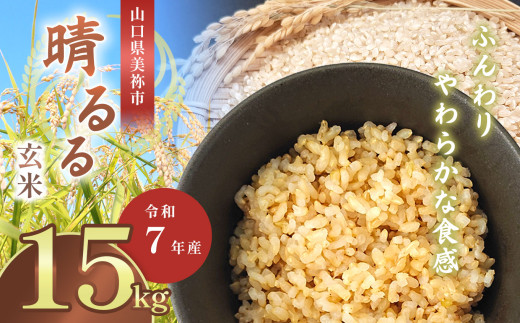 令和7年度産 新米晴るる 玄米15kg 先行予約 ＜ 2025年9月中旬より順次発送予定 ＞ ｜ 米 精米 新米 玄米 米 雑穀 お米 コメ 単一米 晴るる はるる  山口 美祢 秋吉台 15kg