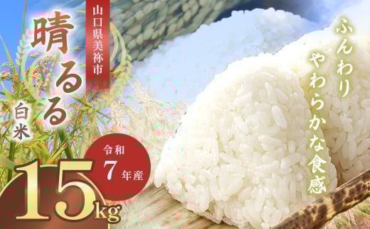 令和7年度産 新米晴るる 白米15kg 先行予約 ＜ 2025年9月中旬より順次発送予定 ＞ ｜ 米 精米 新米 白米 米 雑穀 お米 コメ 単一米 晴るる はるる  山口 美祢 秋吉台 15kg 2093256 - 山口県美祢市