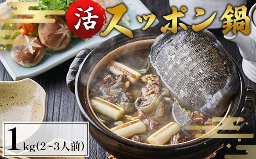 【2025年5月お届け】綾部で育てた！！スッポン鍋 1kg（2～3人前）【 国産 活スッポン 健康 スッポン スッポン鍋 スッポン鍋セット すっぽん 鍋 滋養強壮 コラーゲン 京都 綾部 】 1998525 - 京都府綾部市