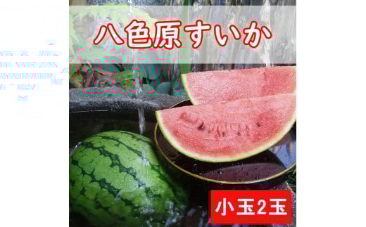 【新潟県 南魚沼産】八色原西瓜 小玉2玉 613490 - 新潟県南魚沼市