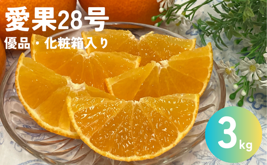 愛果28号 3kg 優品 レッスルファーム みかん 愛媛【2025年12月中旬以降順次発送】先行予約 数量限定 お取り寄せ おすすめ 美味しい おいしい グルメ フルーツ くだもの 愛媛県産 人気 柑橘 伊予市｜B252