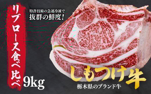 しもつけ牛のリブロース 部位食べ比べ9kg | 牛肉 肉 お肉 焼肉 ステーキ 産地直送 国産 国産牛 赤身 霜降り 希少 旨味 旨み 熟成 テクニカン テクニカン社 スキンパック 真空パック 真空包装 コトラミートカルチャ 栃木県 茂木町 2059492 - 栃木県茂木町