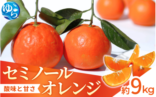 【来シーズン先行予約】セミノール 約9kg   ※2026年4月上中旬～順次発送 /  みかん 晩柑 人気 柑橘 スマイルカット  蜜柑 フルーツ 果物 くだもの 食品 人気 おすすめ 送料無料 産地直送 和歌山県 由良町【kzmn014】 1984029 - 和歌山県由良町