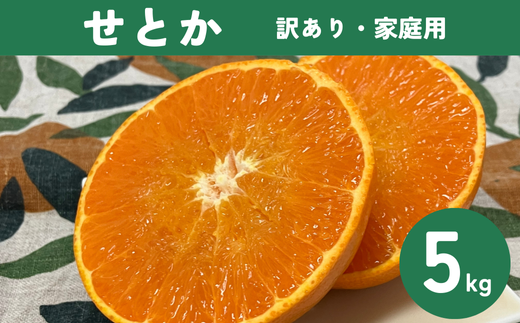 せとか（施設・露地）5kg  ご家庭用 訳あり レッスルファーム みかん 愛媛【2026年1月下旬順次発送】先行予約 数量限定 おすすめ 美味しい おいしい グルメ フルーツ くだもの 愛媛県産 人気 柑橘 伊予市｜B420